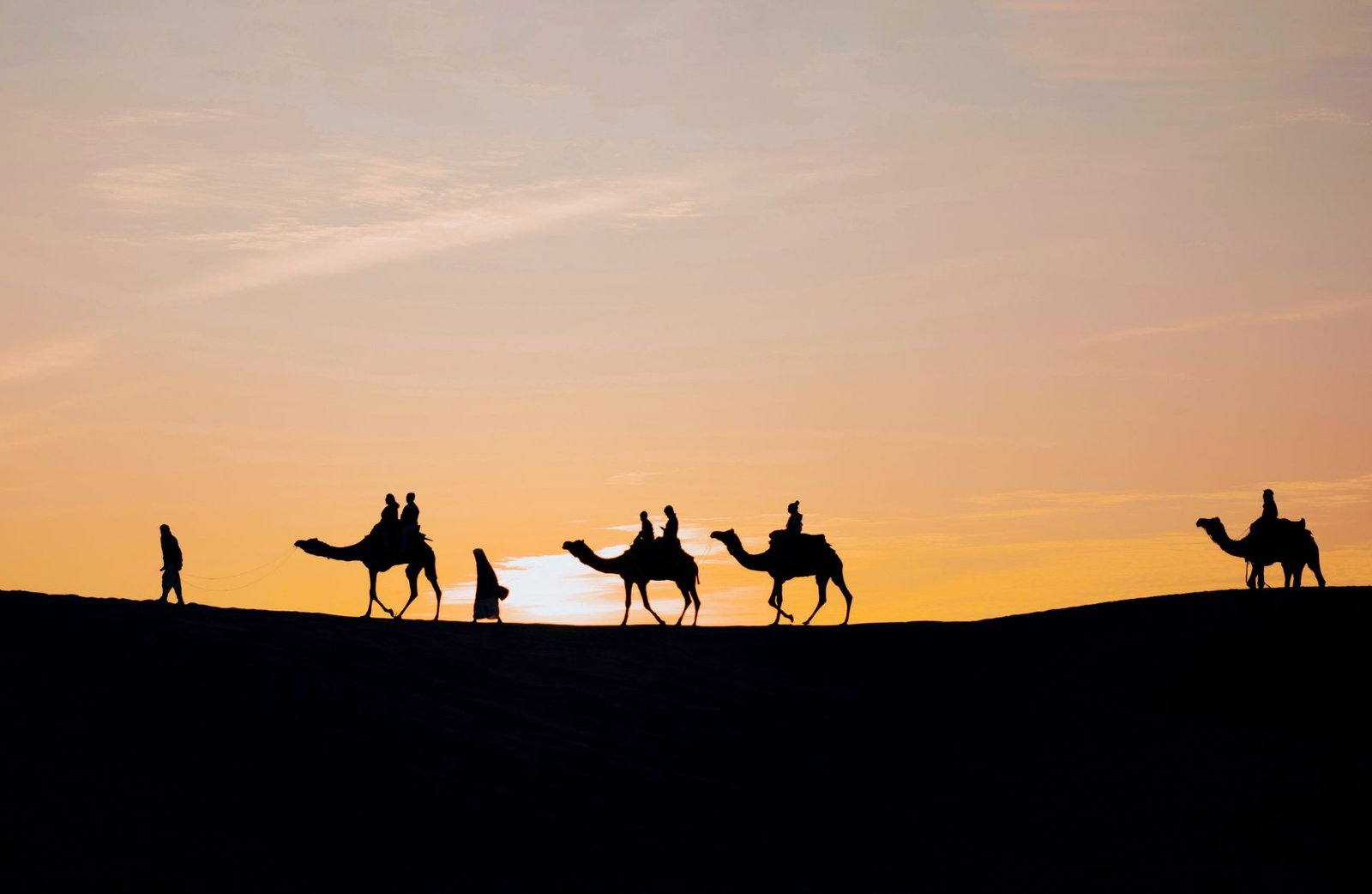 Camel safari on the Jaisalmer sand dunes